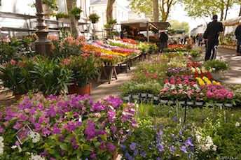 Le marché aux fleurs